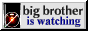 BigBrother