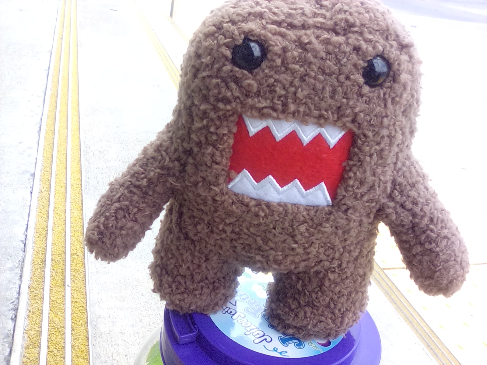 Domo
